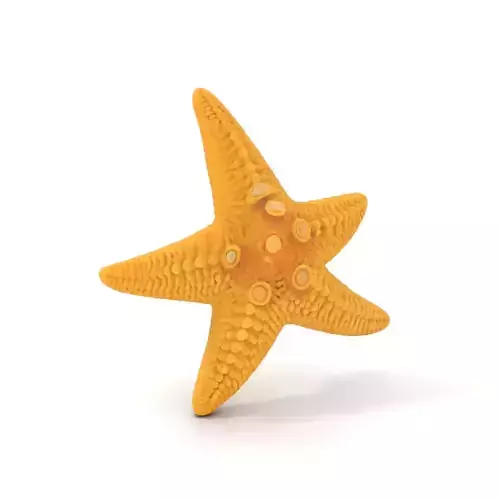 Textured Starfish model pack