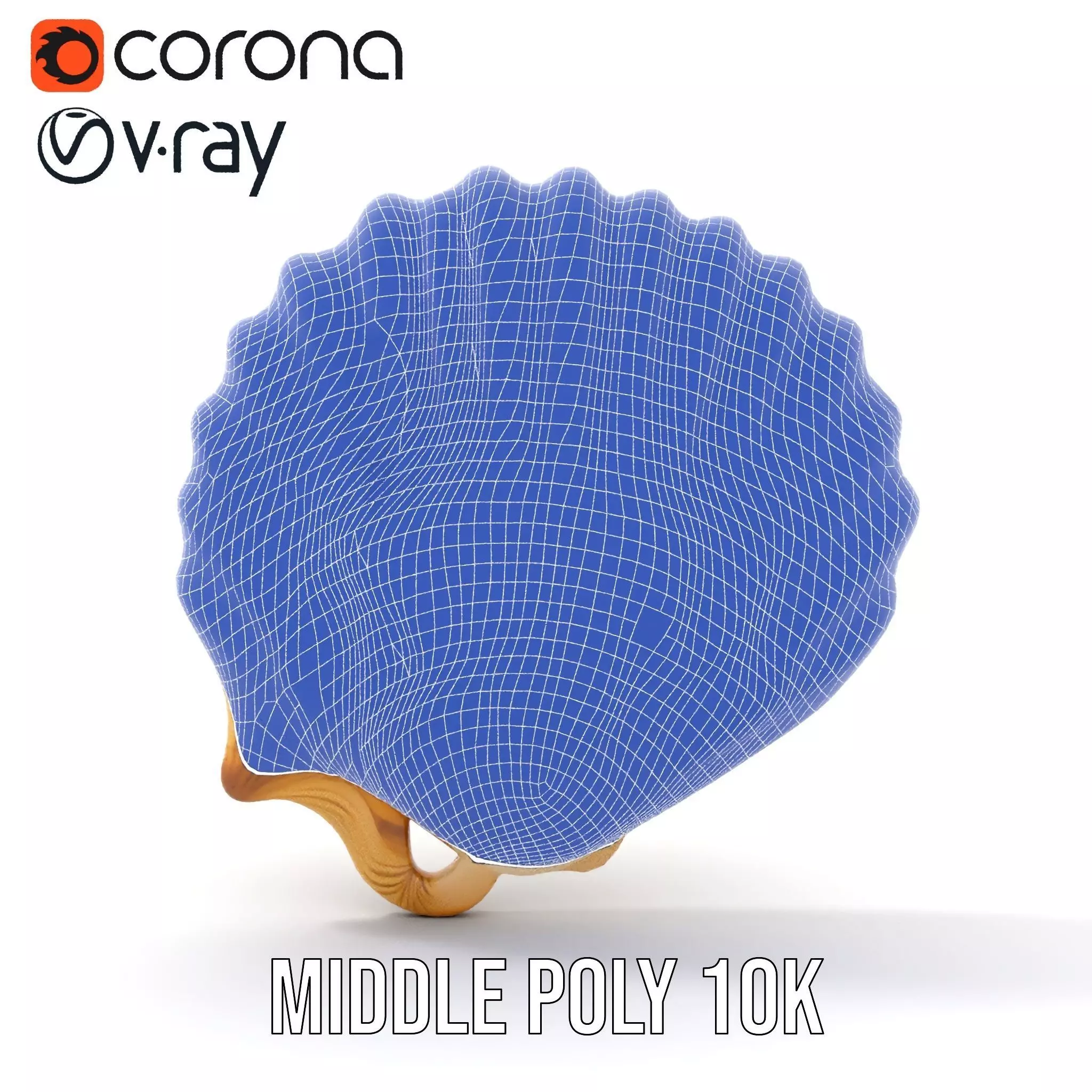 Cream Seashell model pack Low-poly 3D model_29