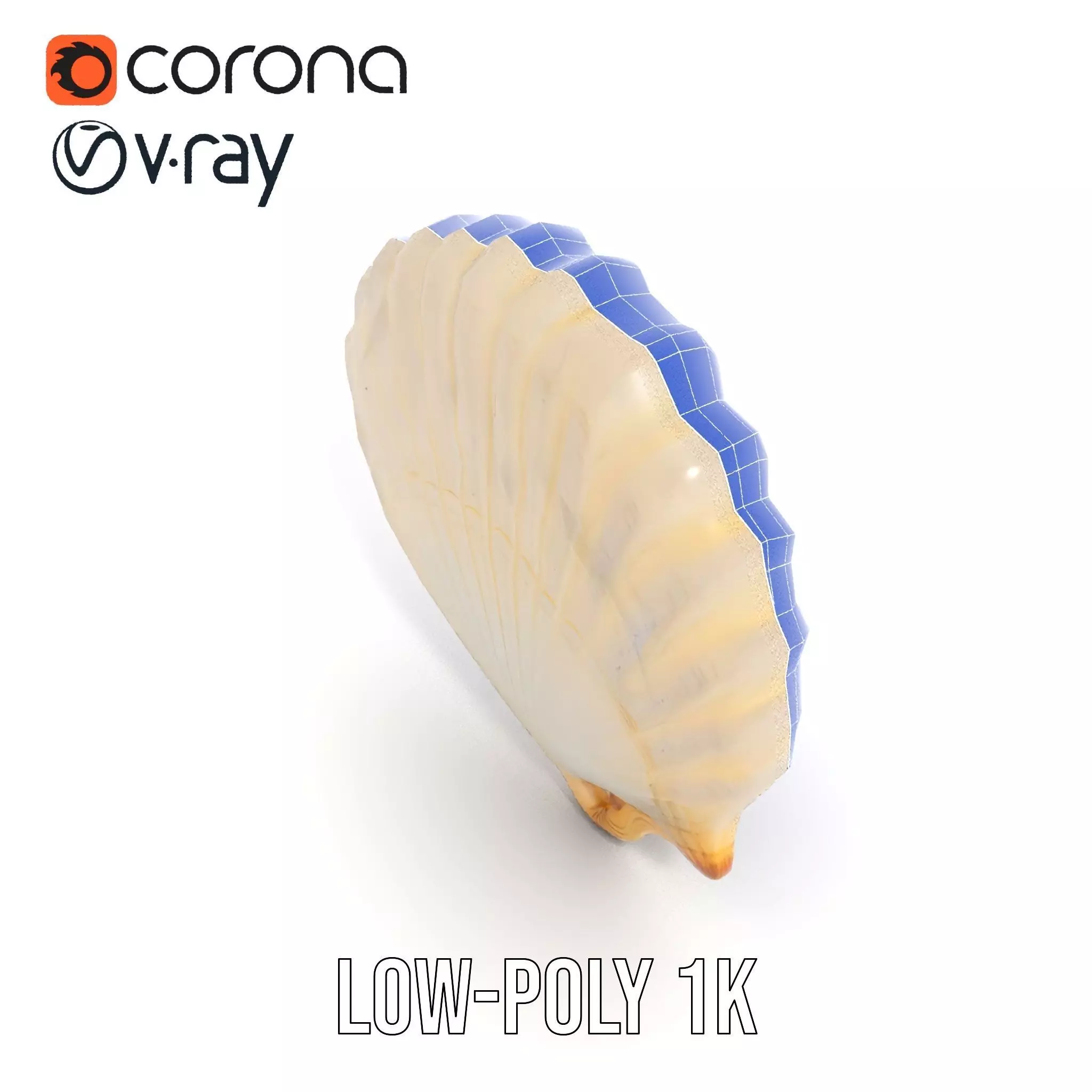 Cream Seashell model pack Low-poly 3D model_16