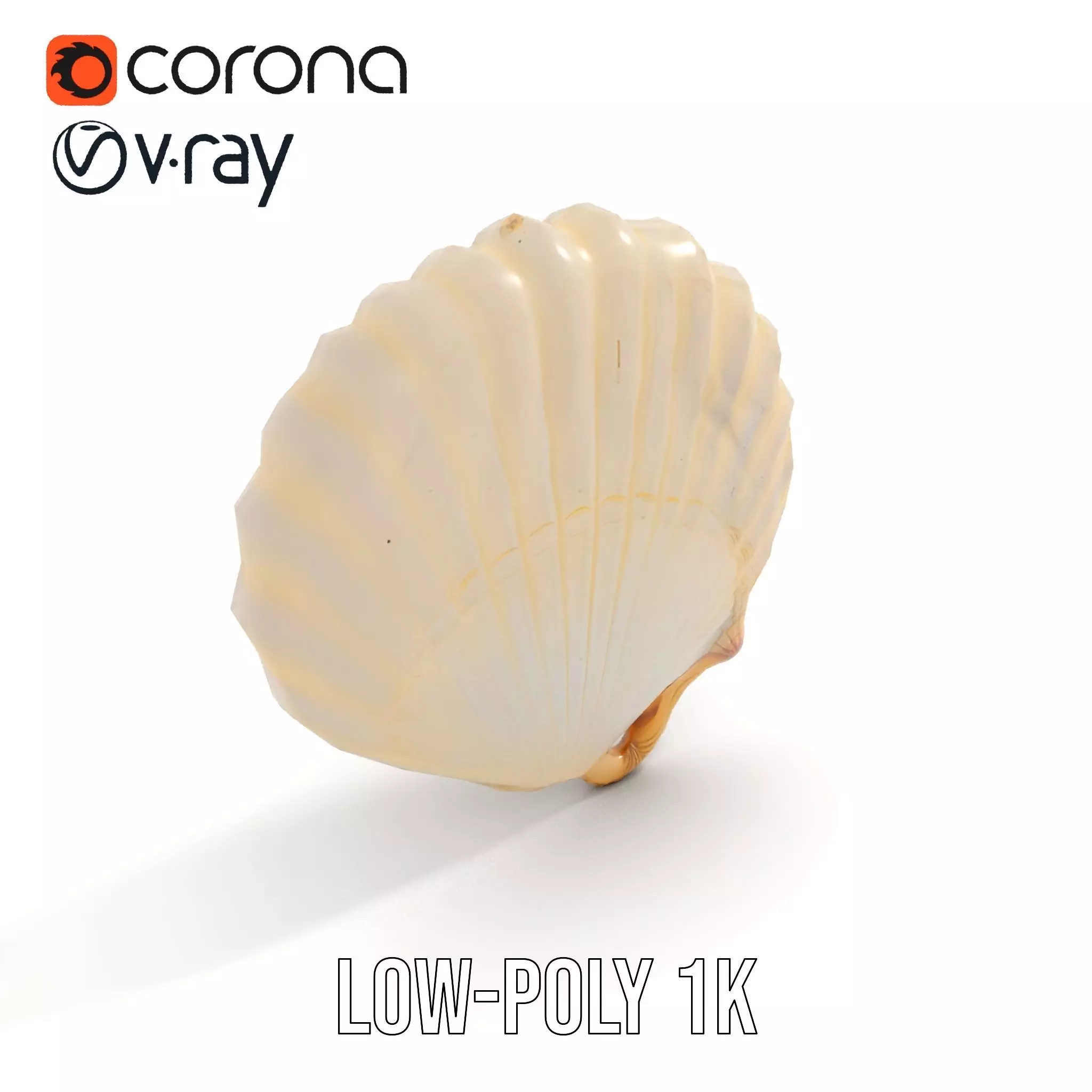 Cream Seashell model pack Low-poly 3D model_9