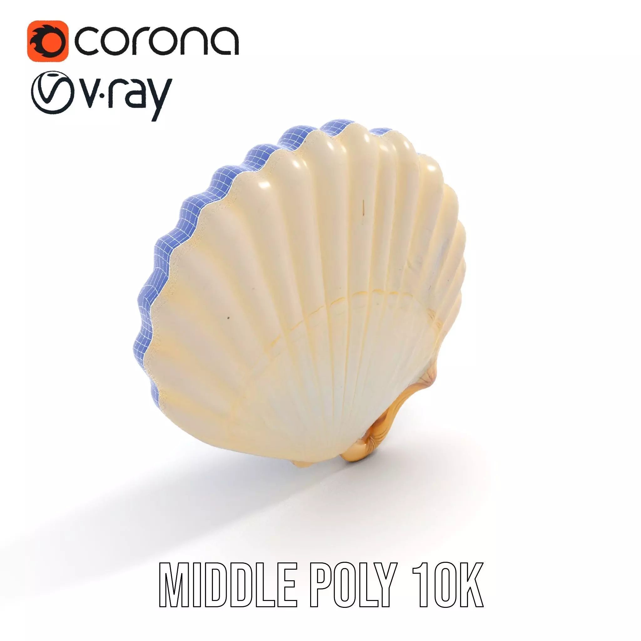 Cream Seashell model pack Low-poly 3D model_18