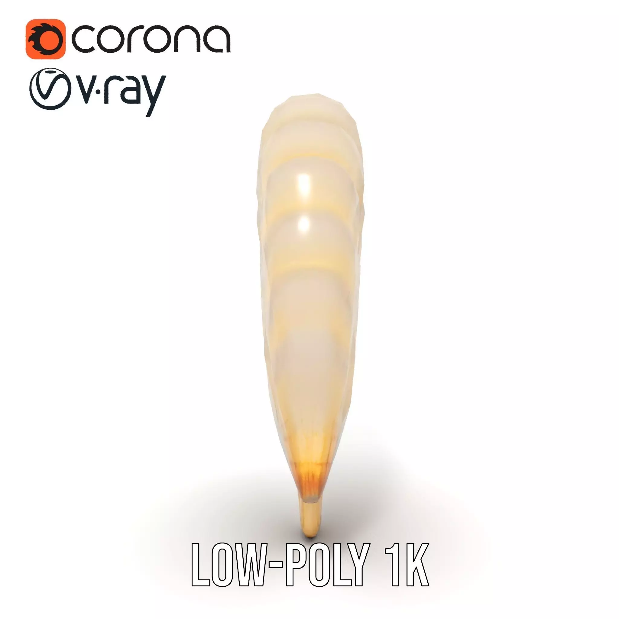 Cream Seashell model pack Low-poly 3D model_27