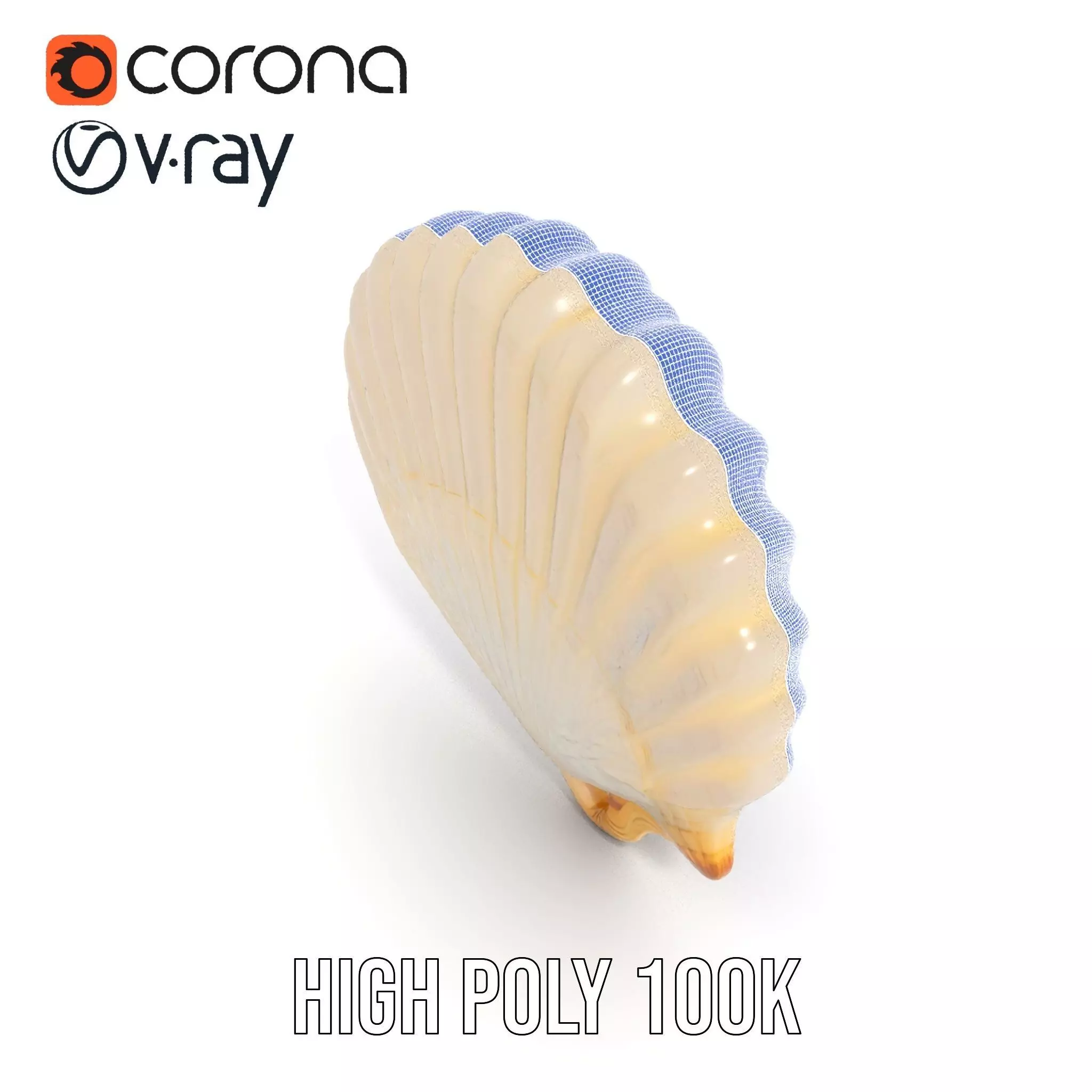 Cream Seashell model pack Low-poly 3D model_31