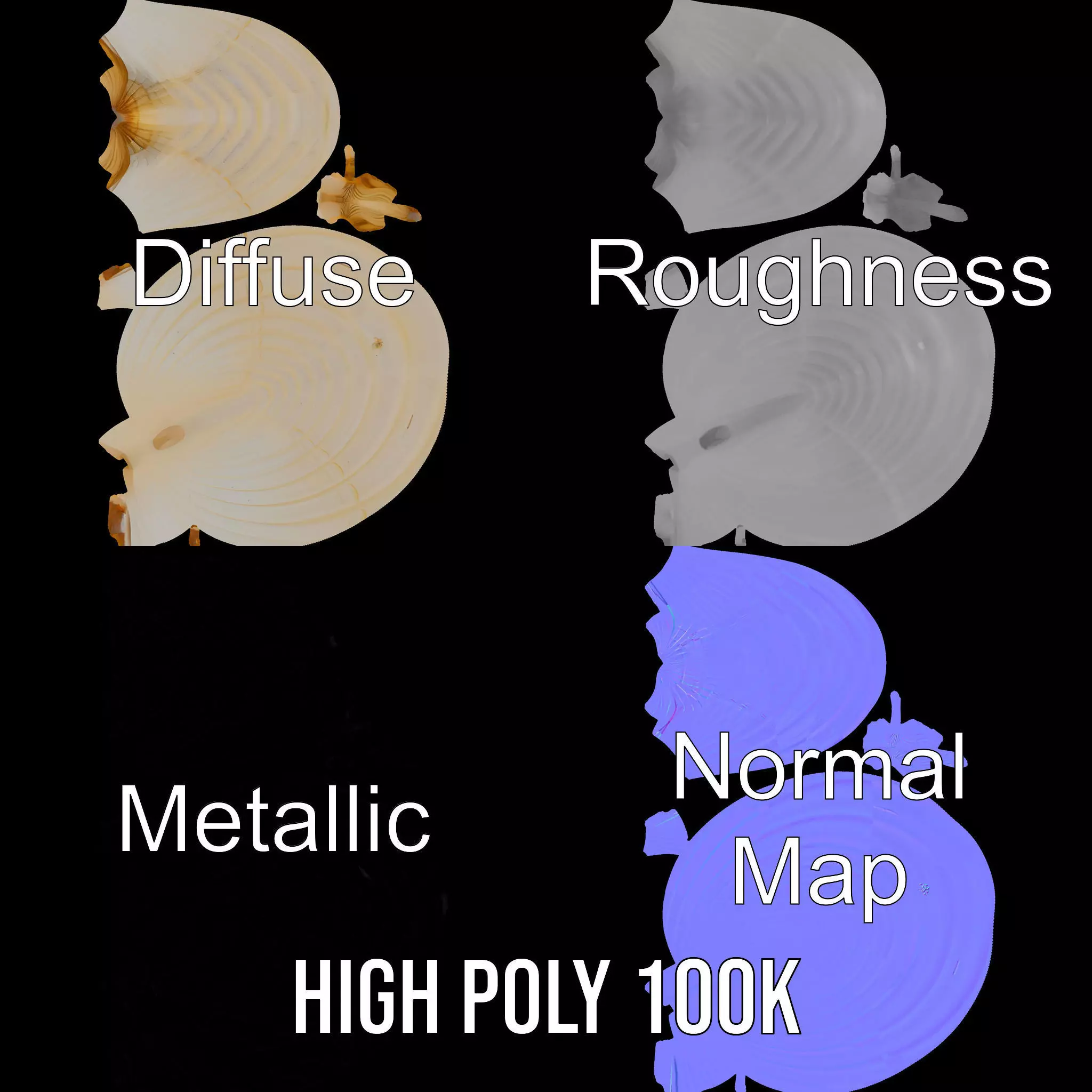 Cream Seashell model pack Low-poly 3D model_3