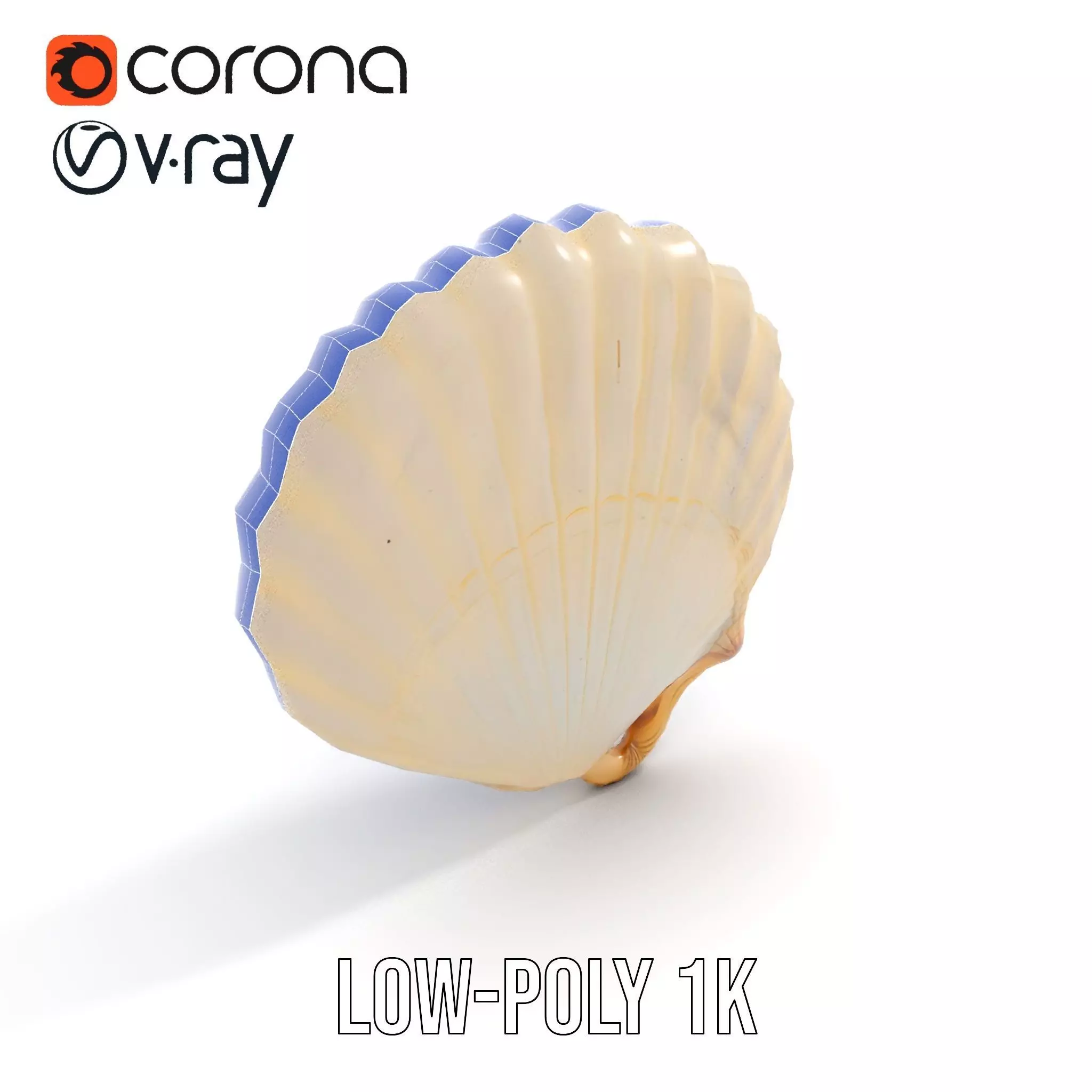 Cream Seashell model pack Low-poly 3D model_22