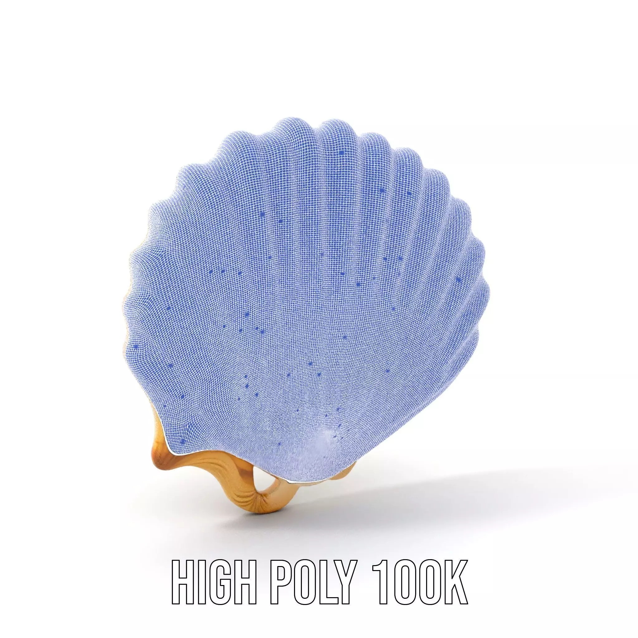 Cream Seashell model pack Low-poly 3D model_4