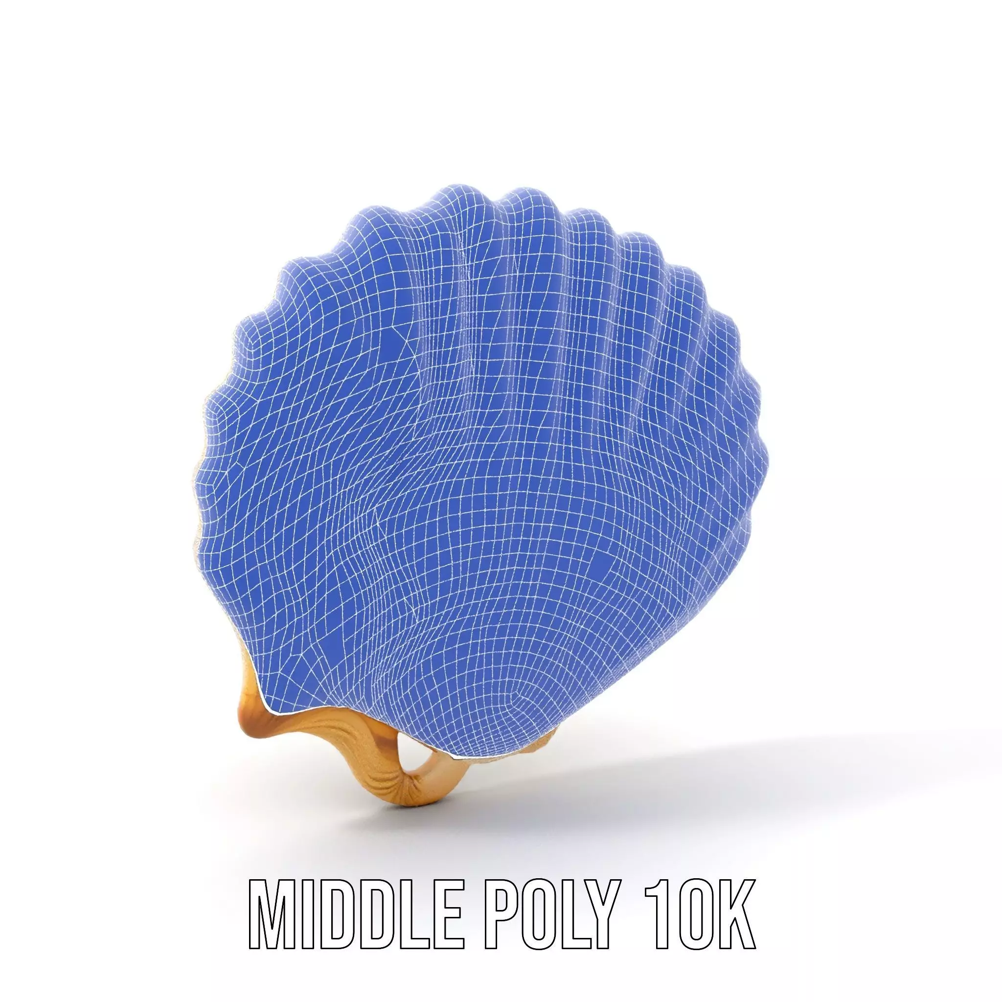 Cream Seashell model pack Low-poly 3D model_24
