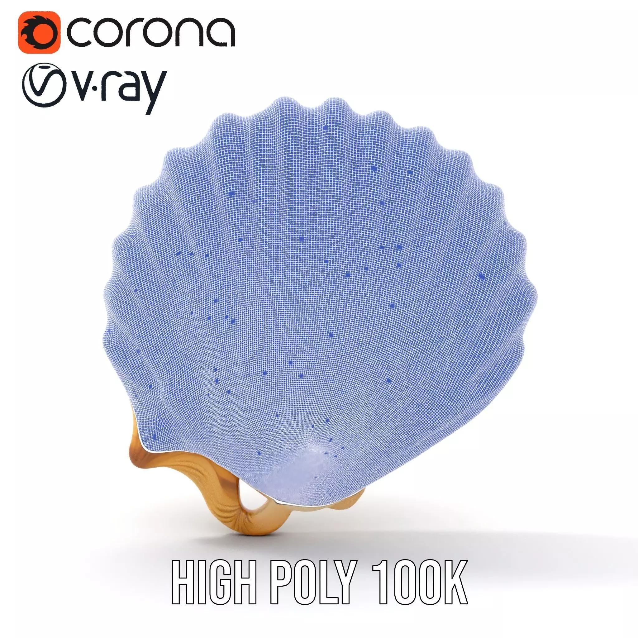 Cream Seashell model pack Low-poly 3D model_33