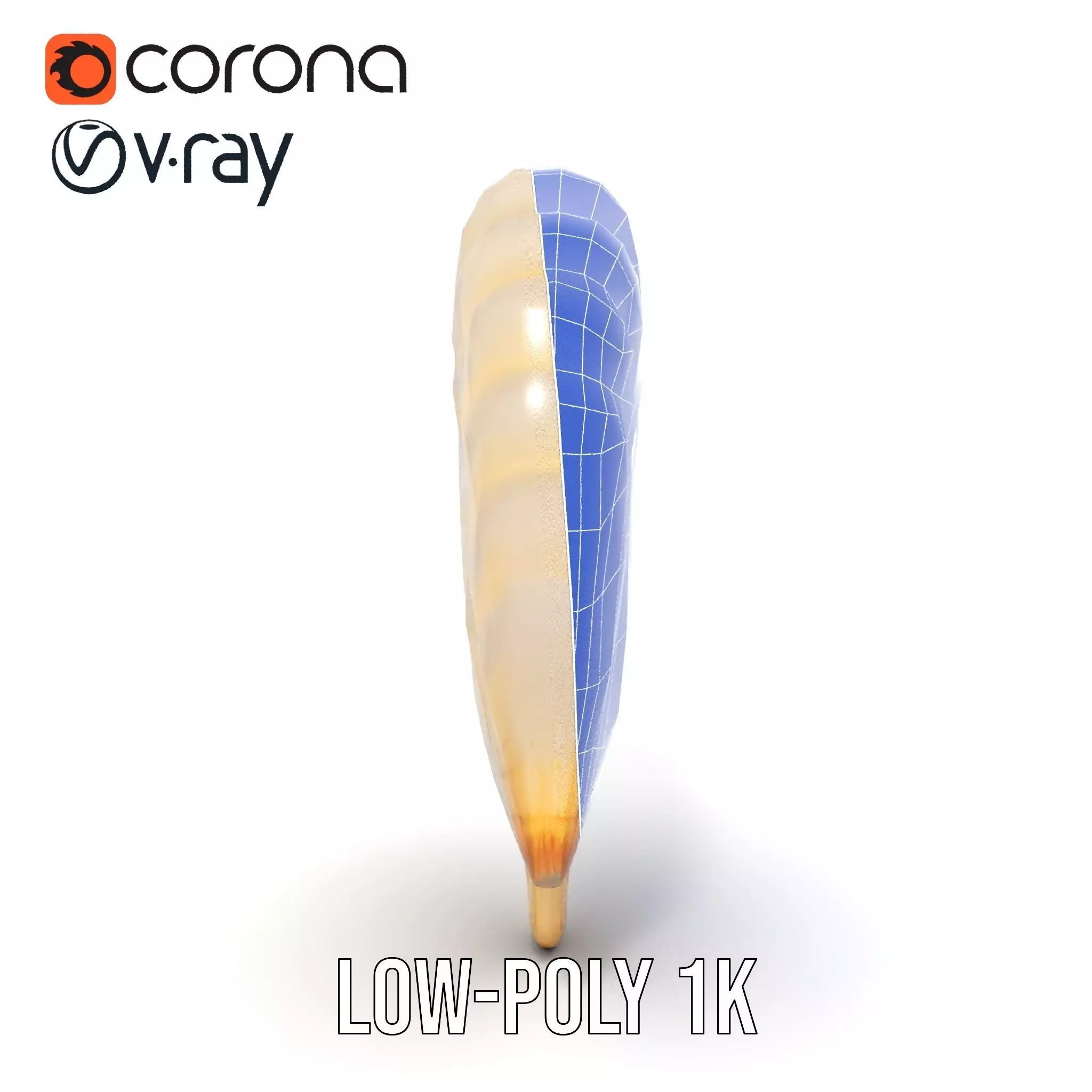 Cream Seashell model pack Low-poly 3D model_30