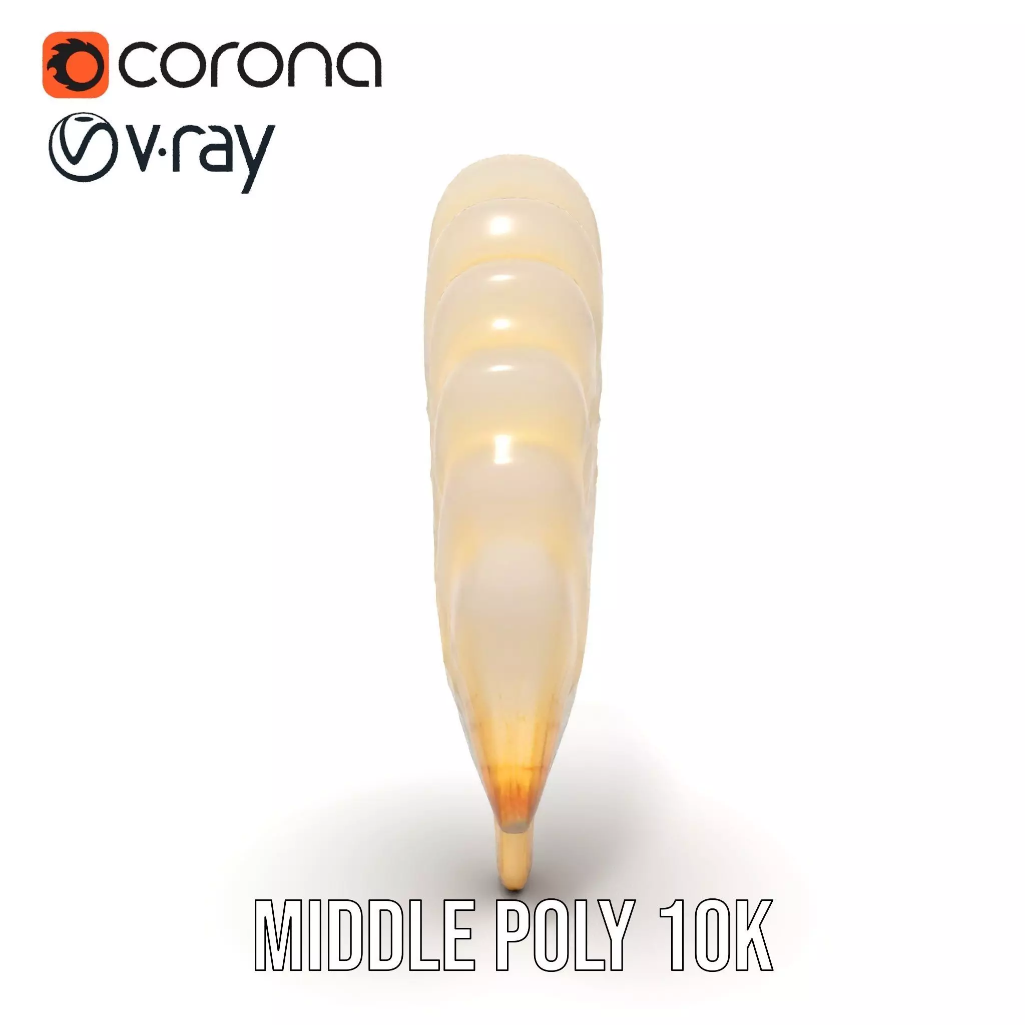 Cream Seashell model pack Low-poly 3D model_15