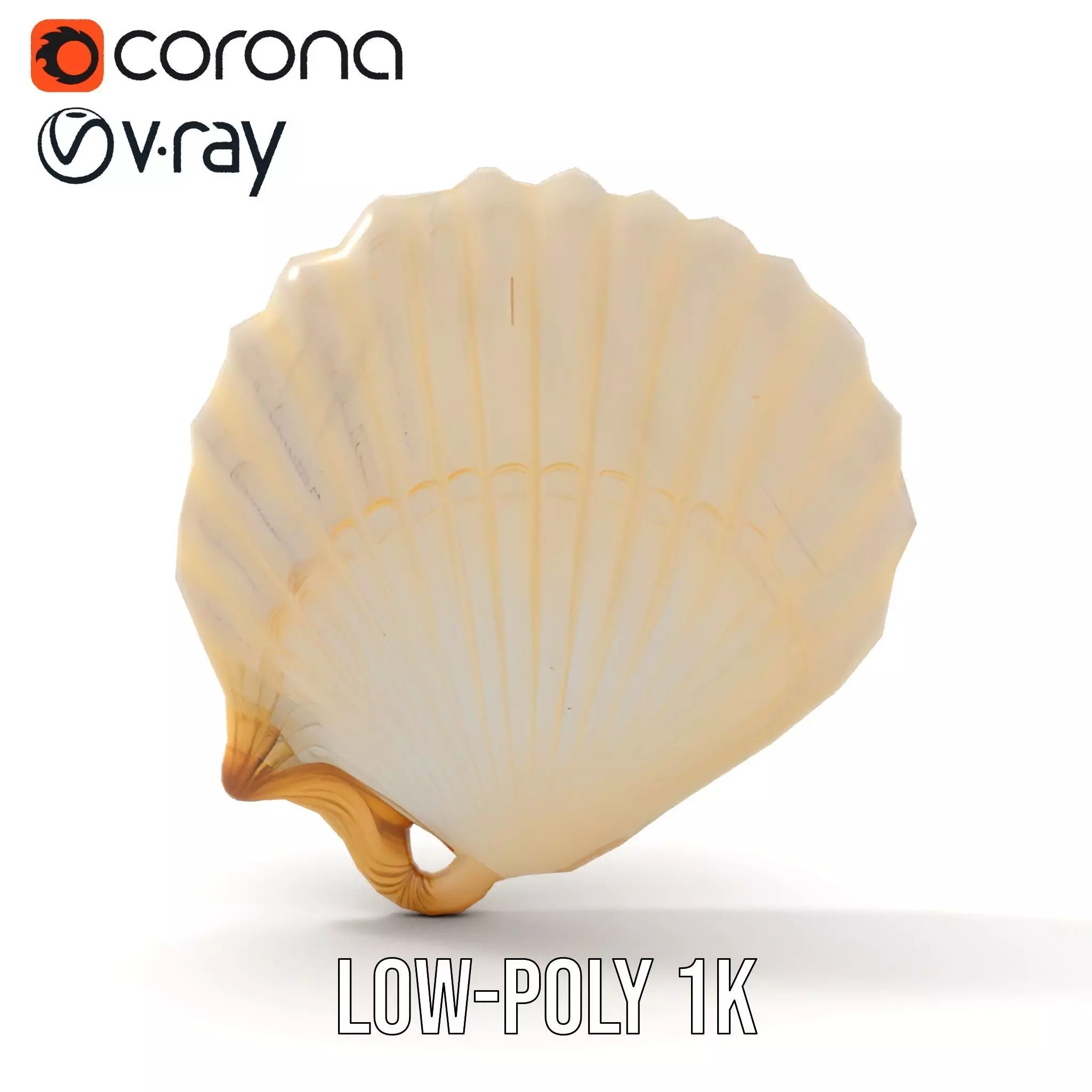 Cream Seashell model pack Low-poly 3D model_14