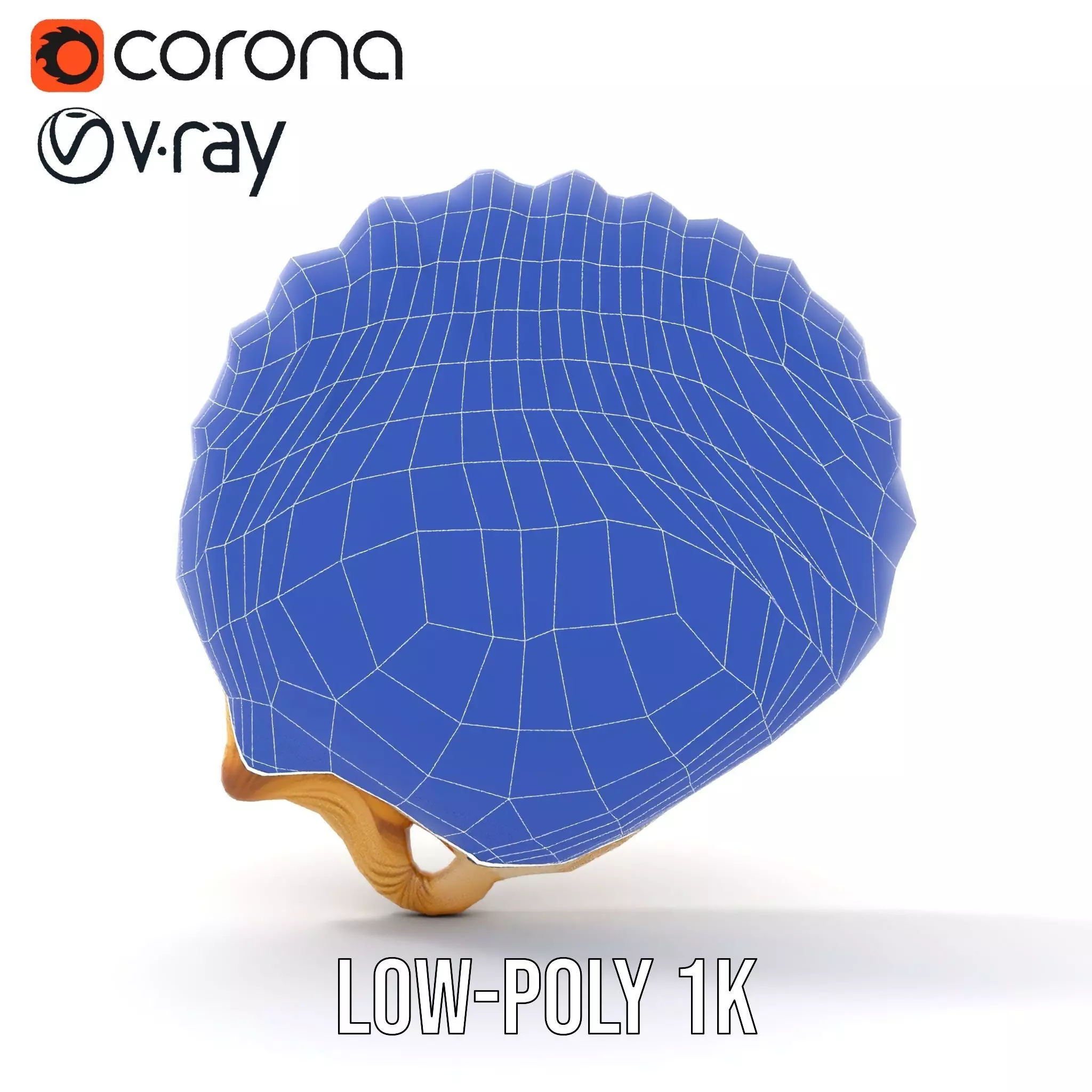 Cream Seashell model pack Low-poly 3D model_12
