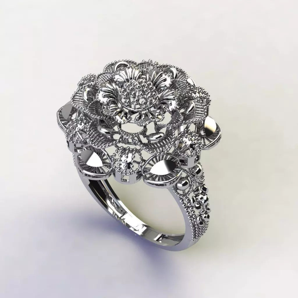 Rings 3D print model_1