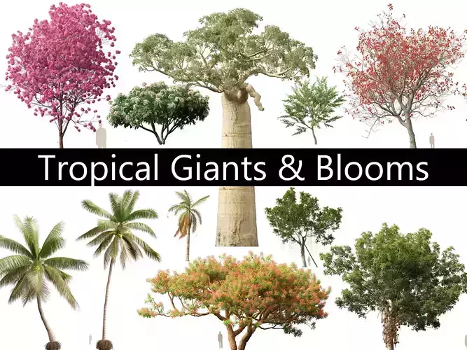 Tropical Giants  Blooms Pack 01 3D model