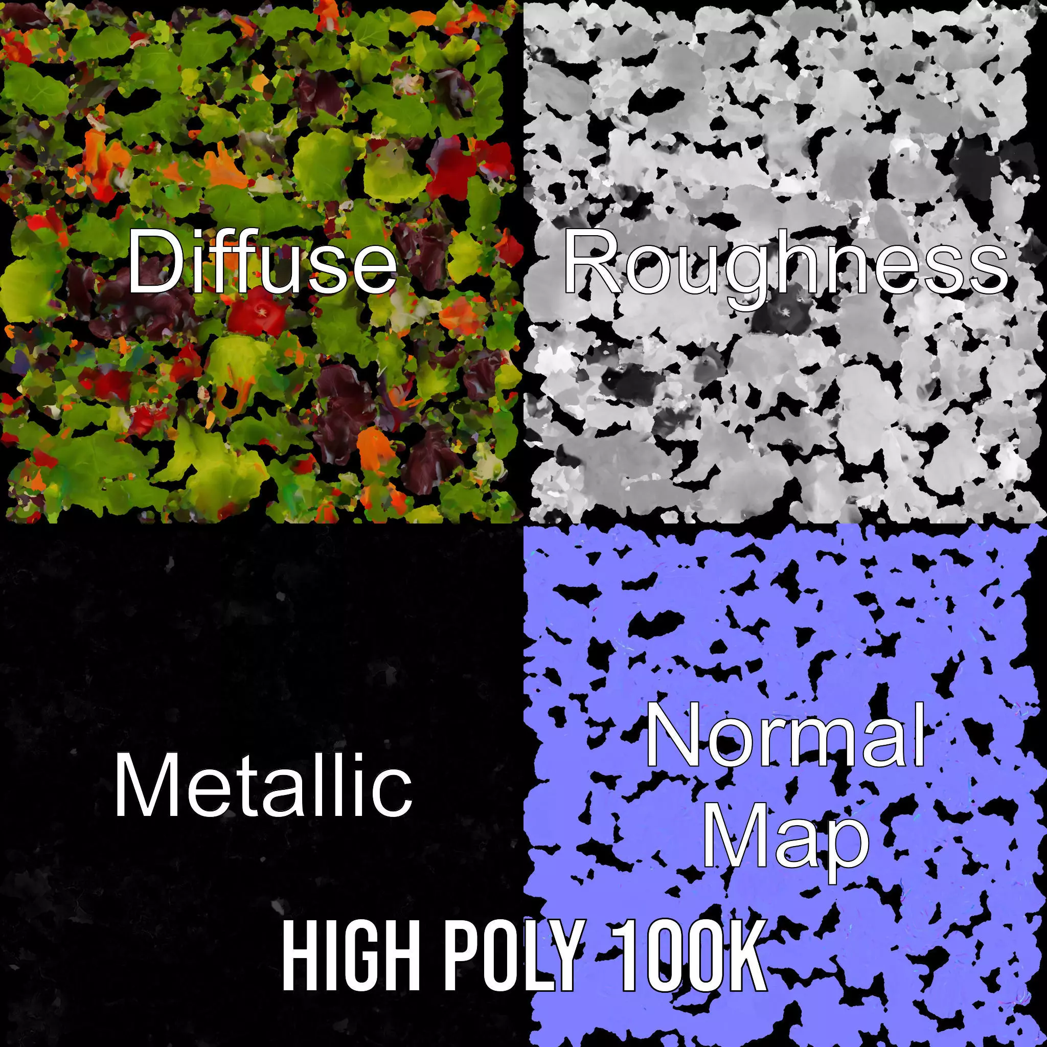 Fresh Garden Salad model pack Low-poly 3D model_3