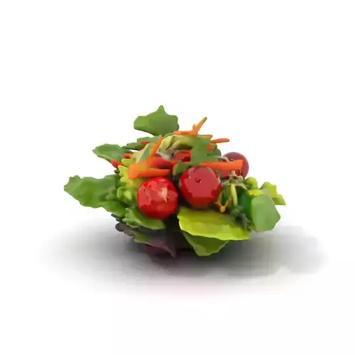 Fresh Garden Salad model pack Low-poly 3D model