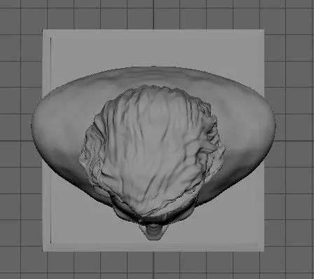 Audacity and charm 3D print model_5