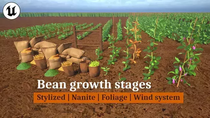 Stylized Bean Growth Stages Nanite Foliage