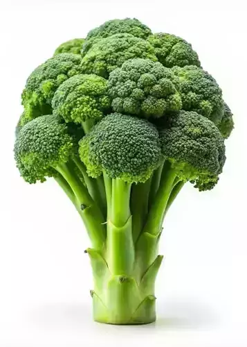 Ultra-Realistic Broccoli 3D Model Fresh Vegetable Florets