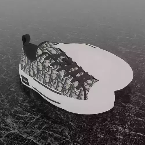 CHRISTIAN DIOR B23 LEAGUE OBLIQUE BEIGE 3D SHOES