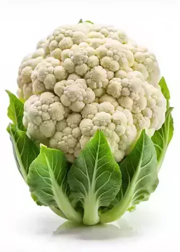 Ultra-Realistic Cauliflower 3D Model Fresh Vegetable Leaves Low-poly 3D model