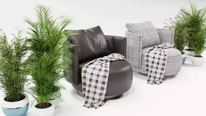 sofa armchair plant