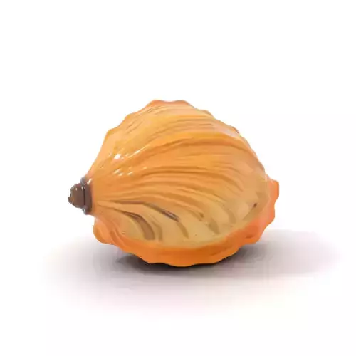 Textured Seashell model pack