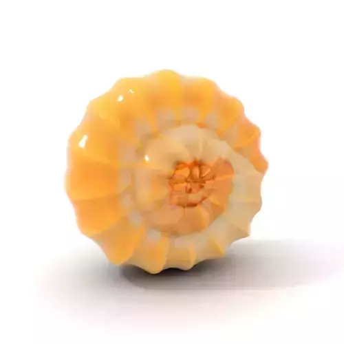 Spiral Shell Texture model pack