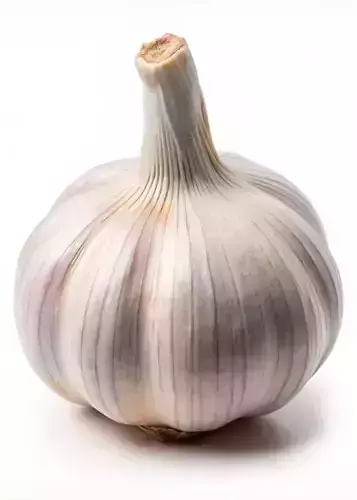 Ultra-Realistic Garlic Bulb 3D Model Fresh Allium Detailed  Low-poly 3D model