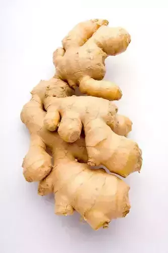 Ultra-Realistic Ginger Root 3D Model Fresh Rhizome Low-poly 3D model