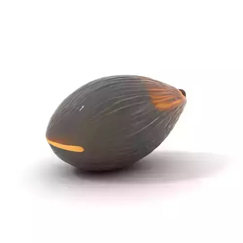 Glossy Black Capsule model pack Low-poly 3D model Glossy Black Capsule model pack Low-poly 3D model