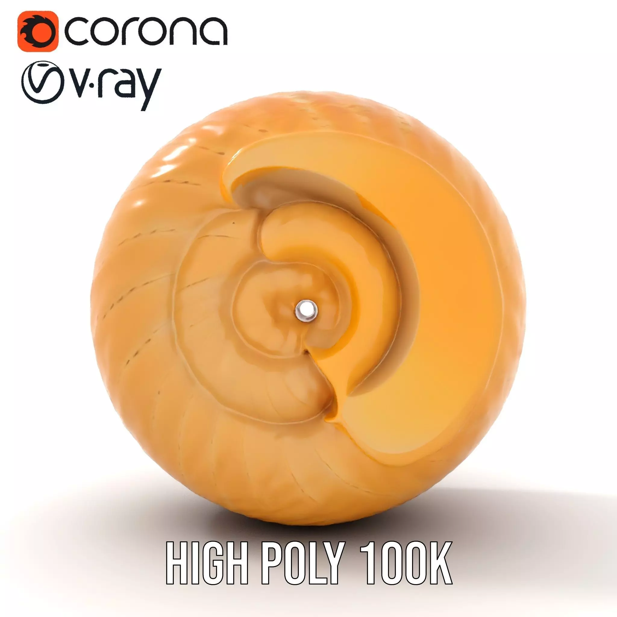 Nautilus Shell Spiral model pack Low-poly 3D model_26