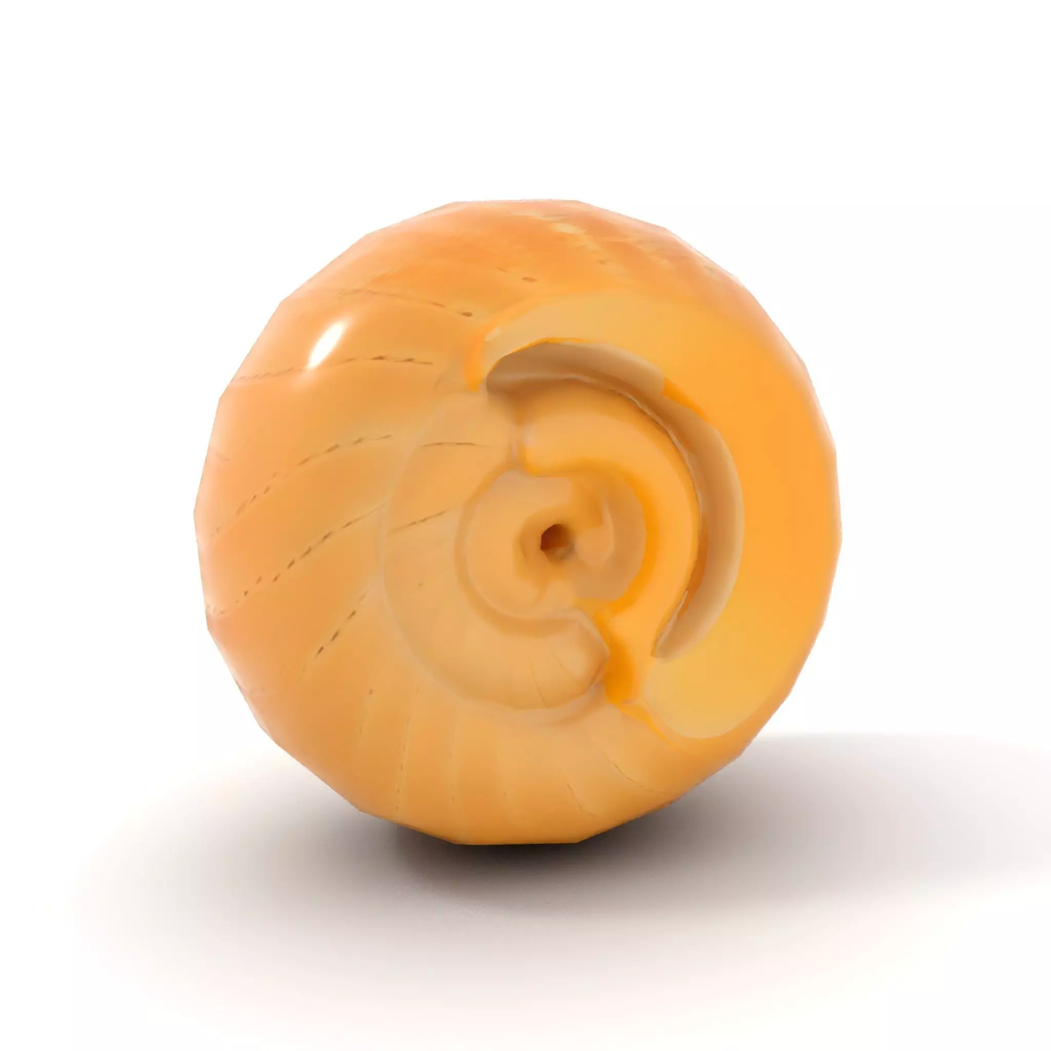 Nautilus Shell Spiral model pack Low-poly 3D model_9