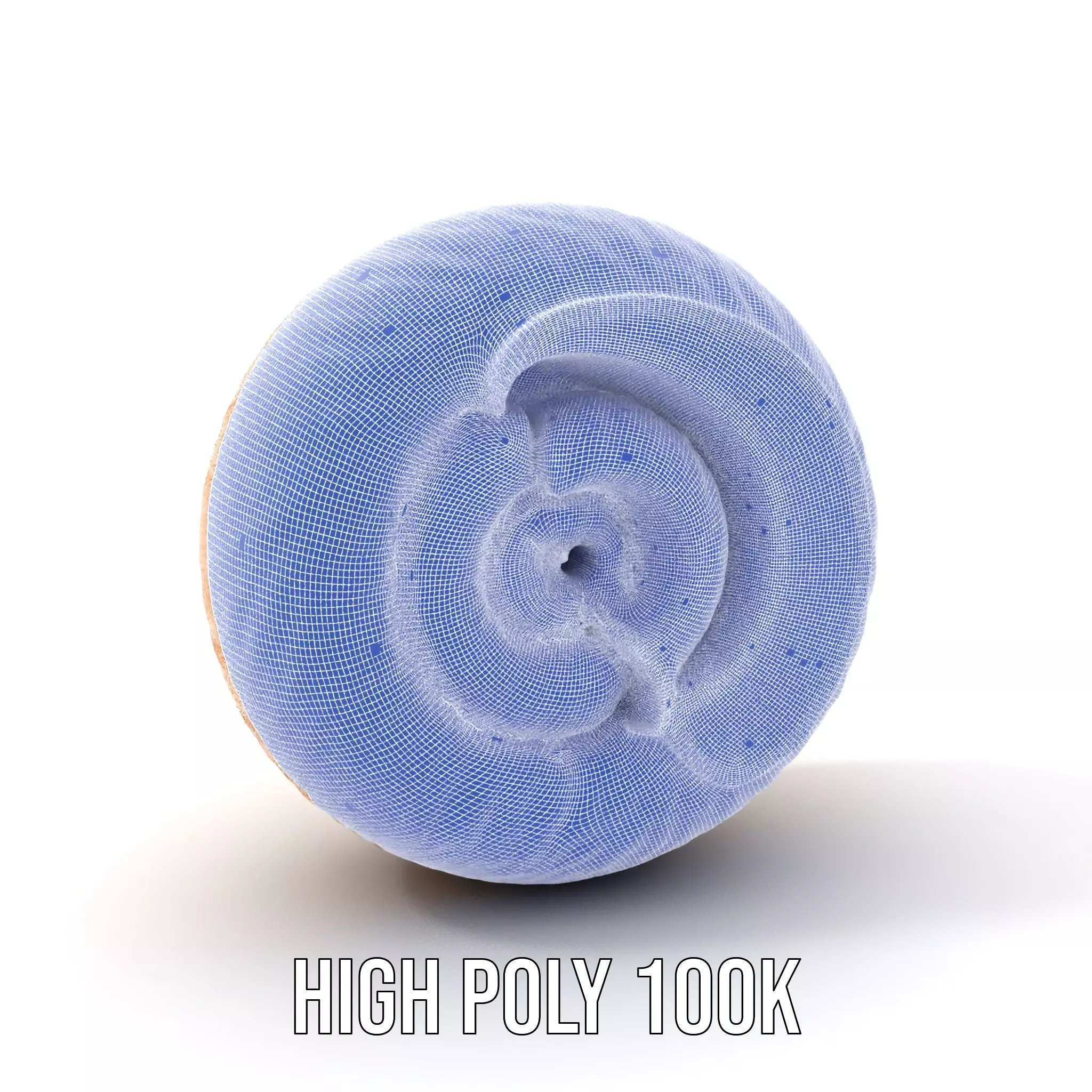 Nautilus Shell Spiral model pack Low-poly 3D model_4