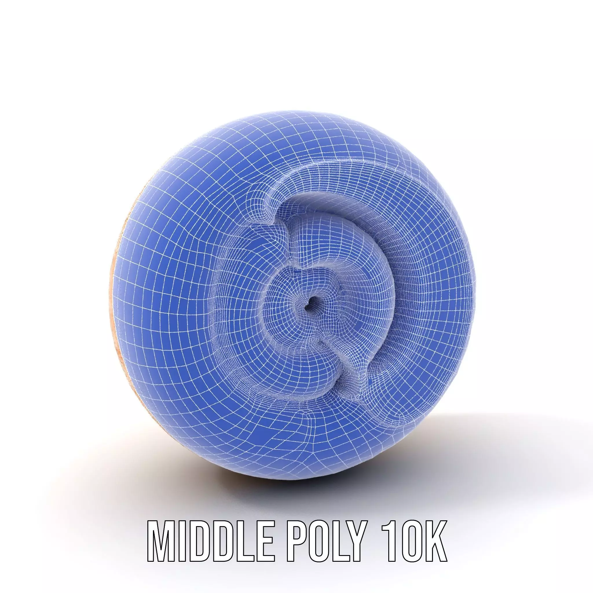 Nautilus Shell Spiral model pack Low-poly 3D model_13