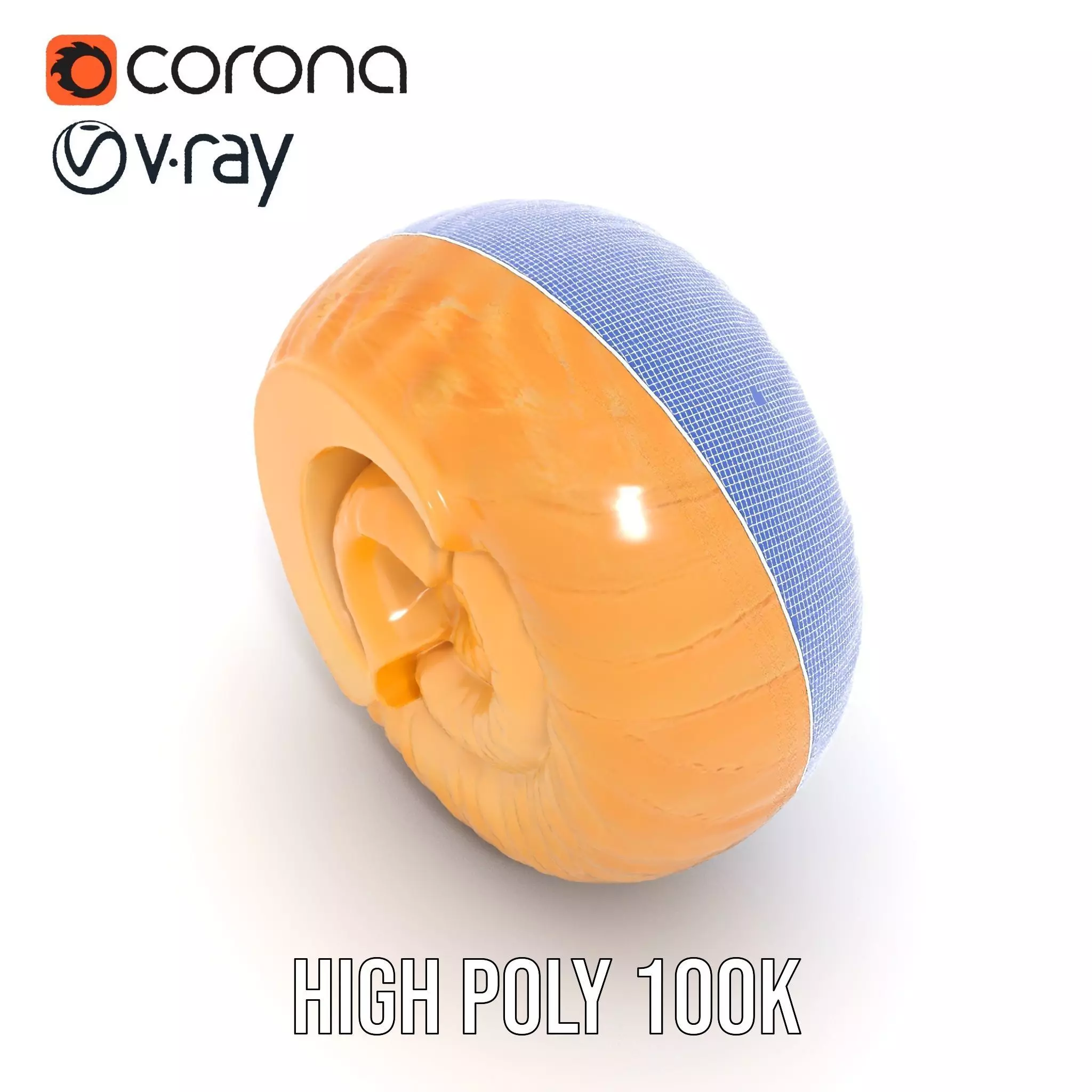 Nautilus Shell Spiral model pack Low-poly 3D model_33