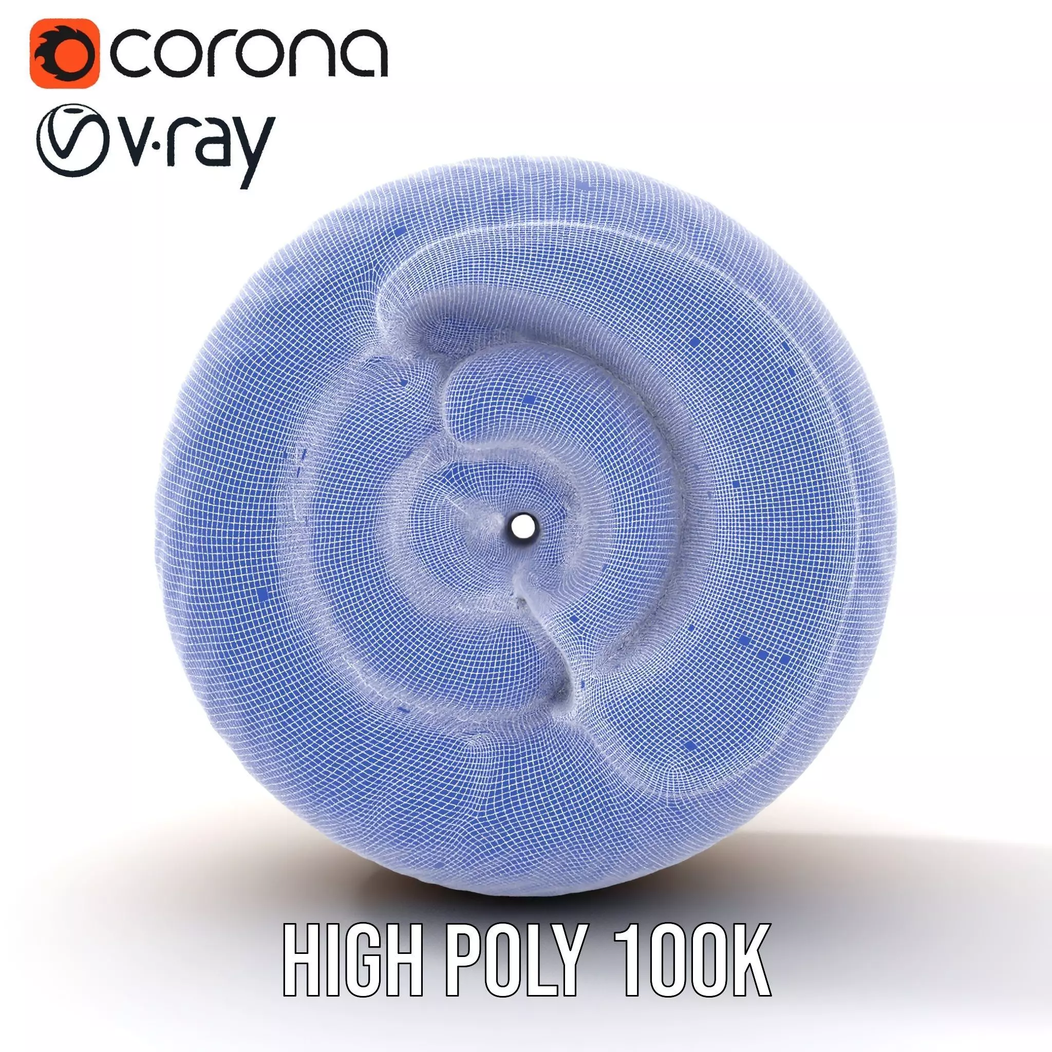 Nautilus Shell Spiral model pack Low-poly 3D model_34