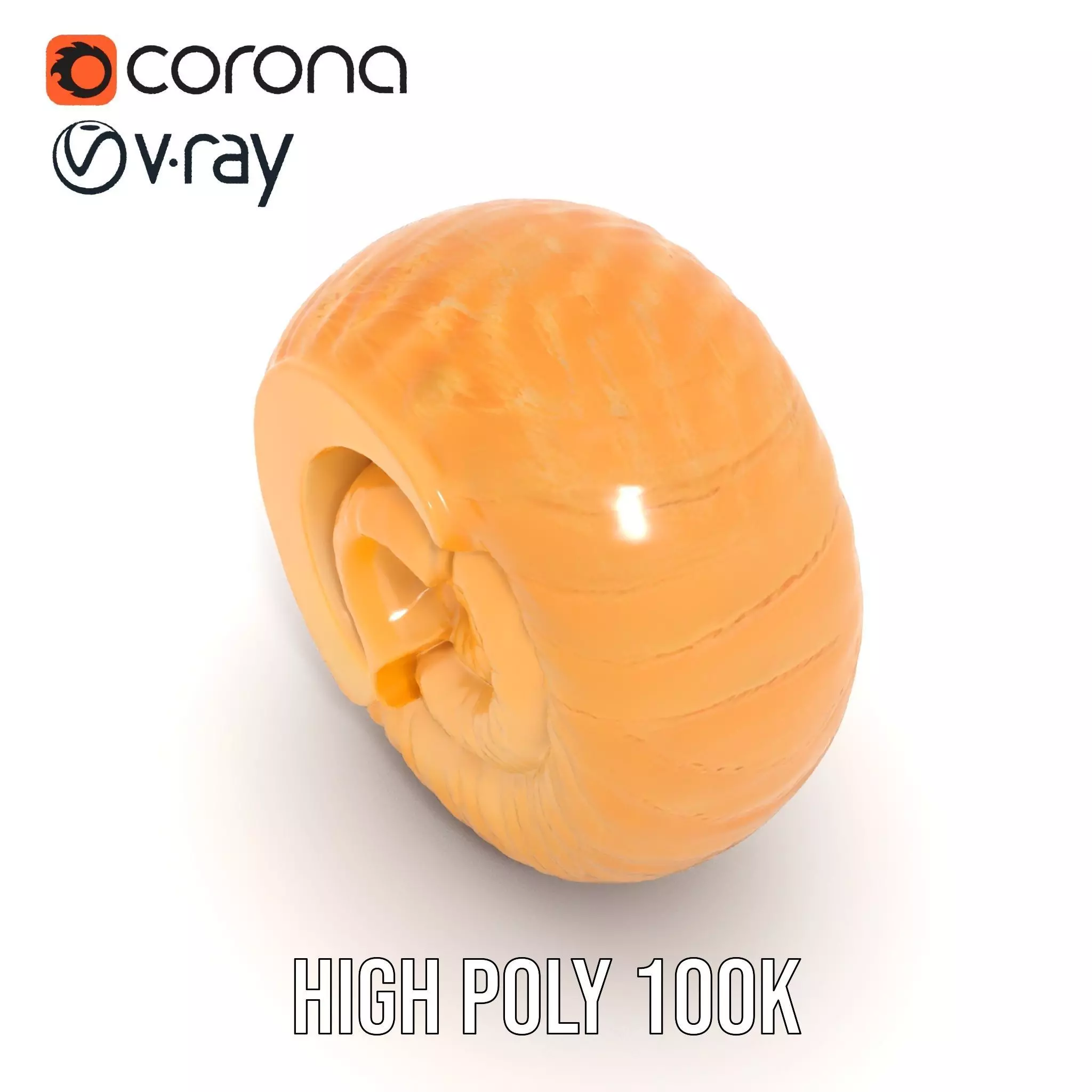 Nautilus Shell Spiral model pack Low-poly 3D model_15