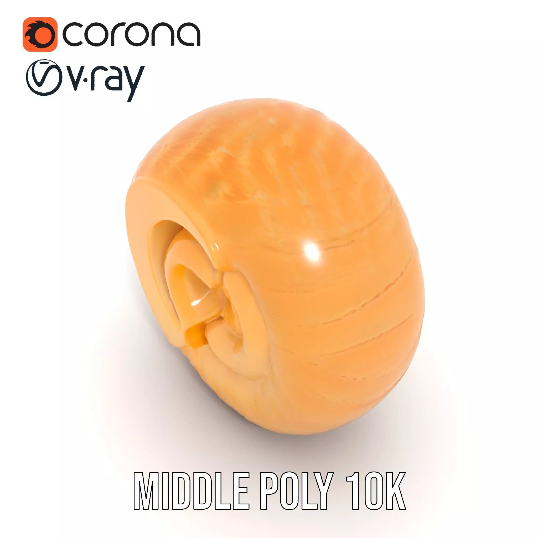 Nautilus Shell Spiral model pack Low-poly 3D model_11