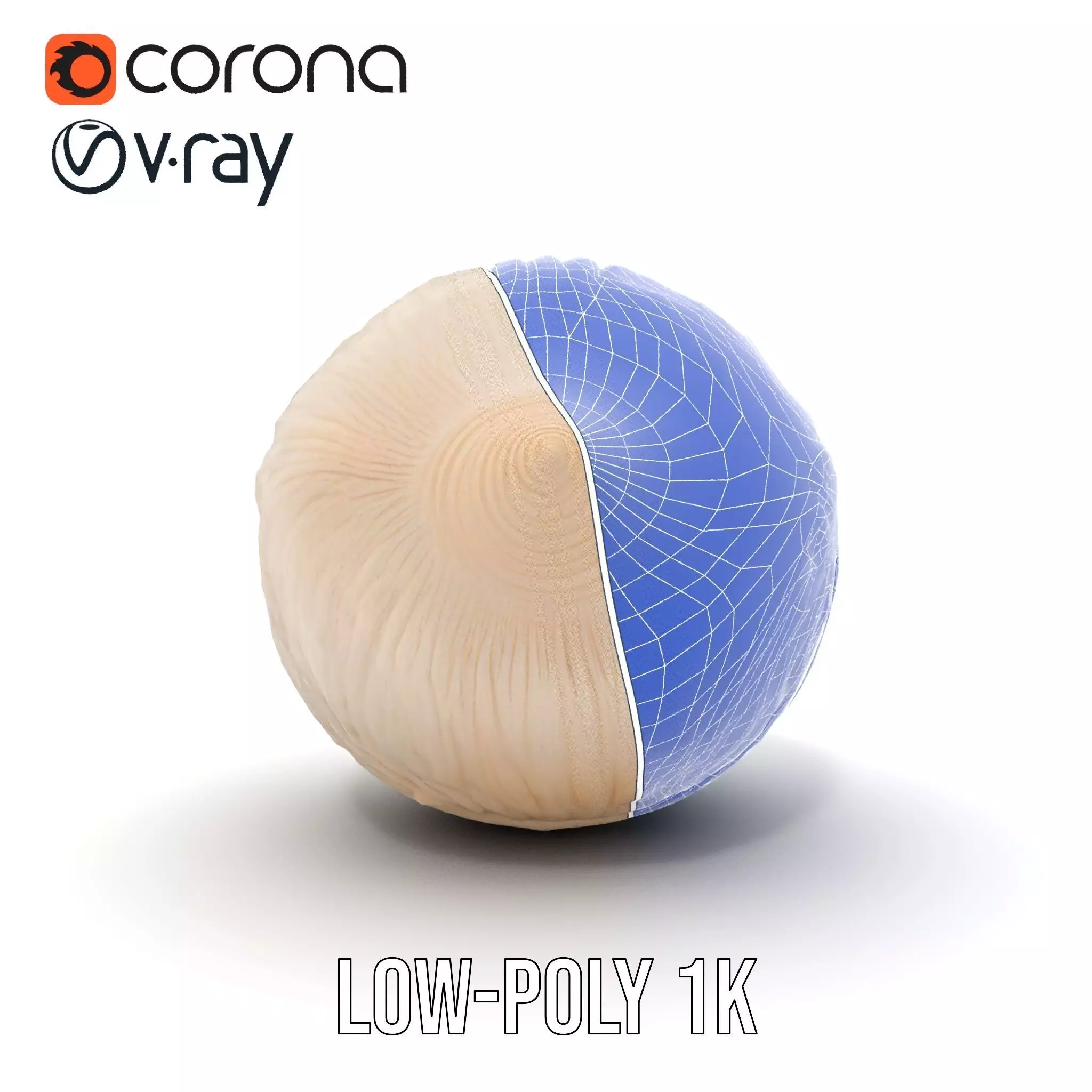 Elegant Sea Shell model pack Low-poly 3D model_30