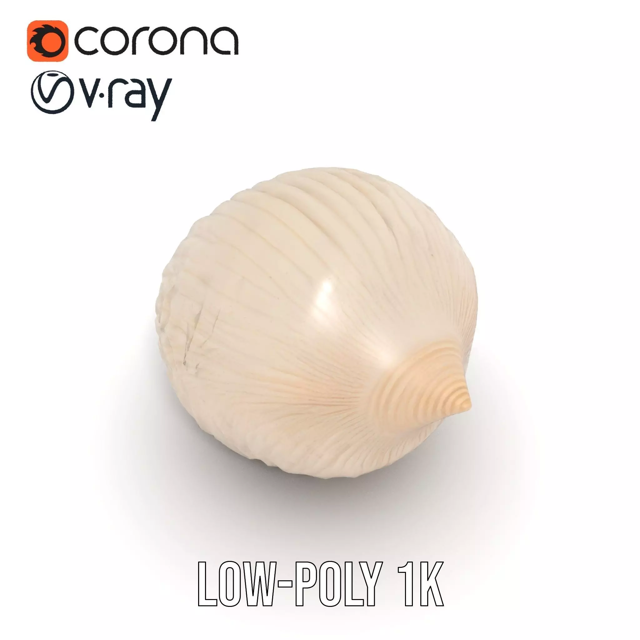 Elegant Sea Shell model pack Low-poly 3D model_5