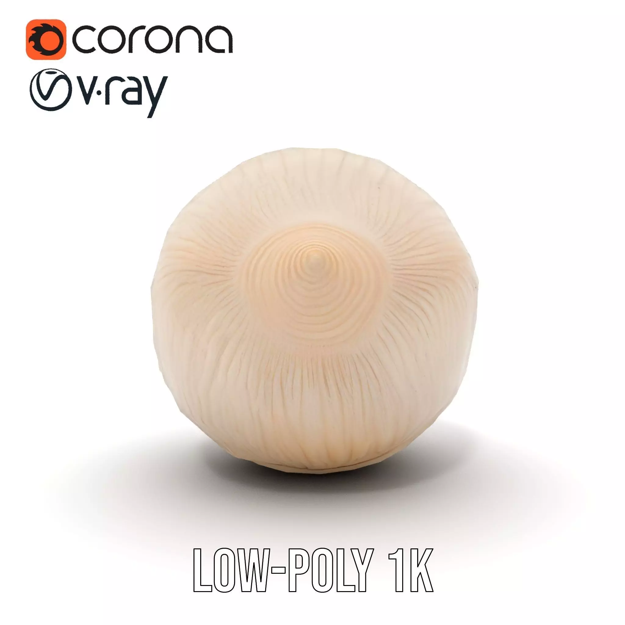 Elegant Sea Shell model pack Low-poly 3D model_7