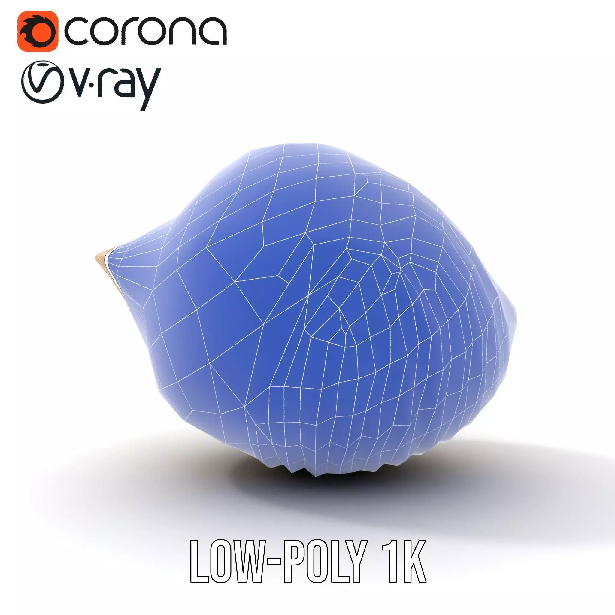 Elegant Sea Shell model pack Low-poly 3D model_31