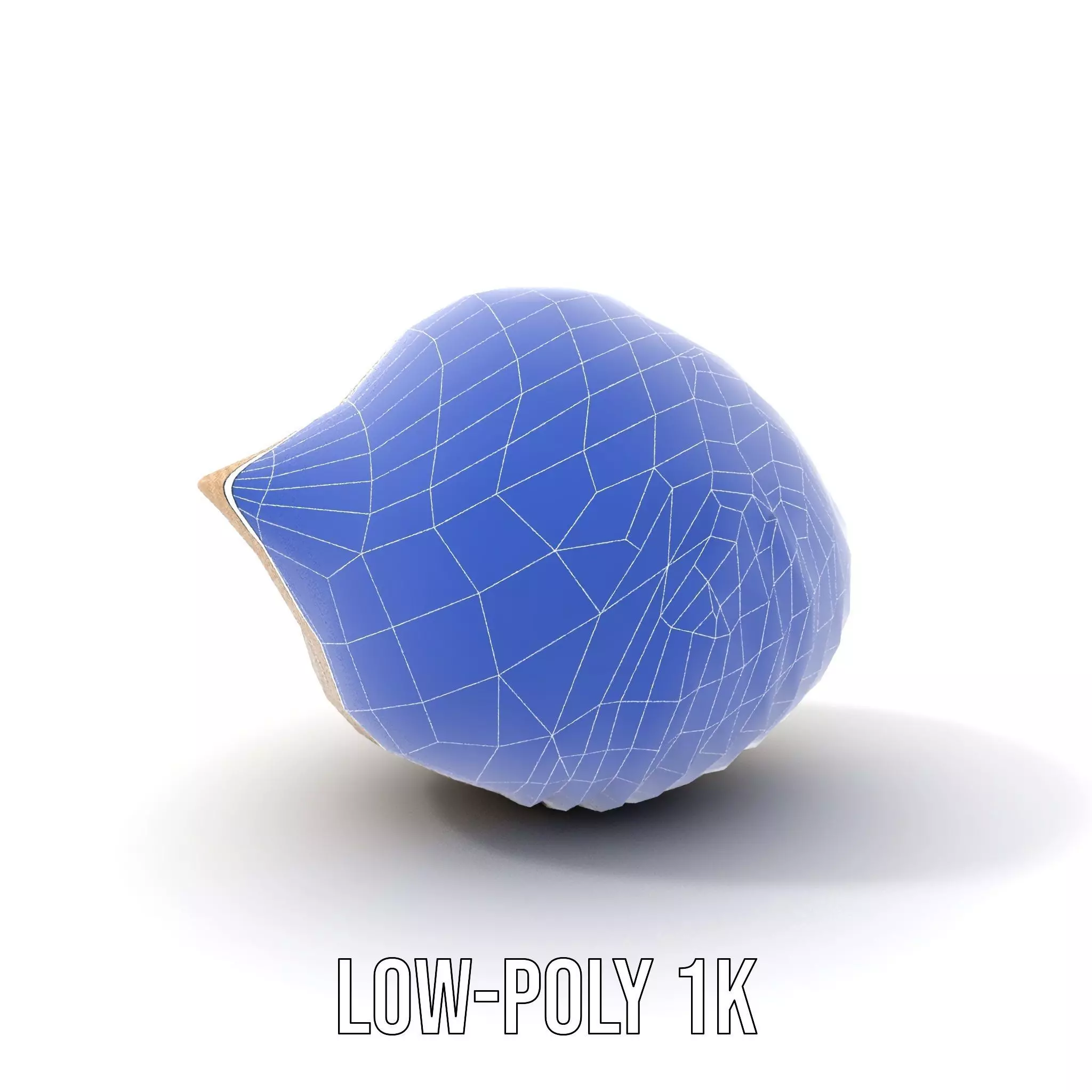 Elegant Sea Shell model pack Low-poly 3D model_25