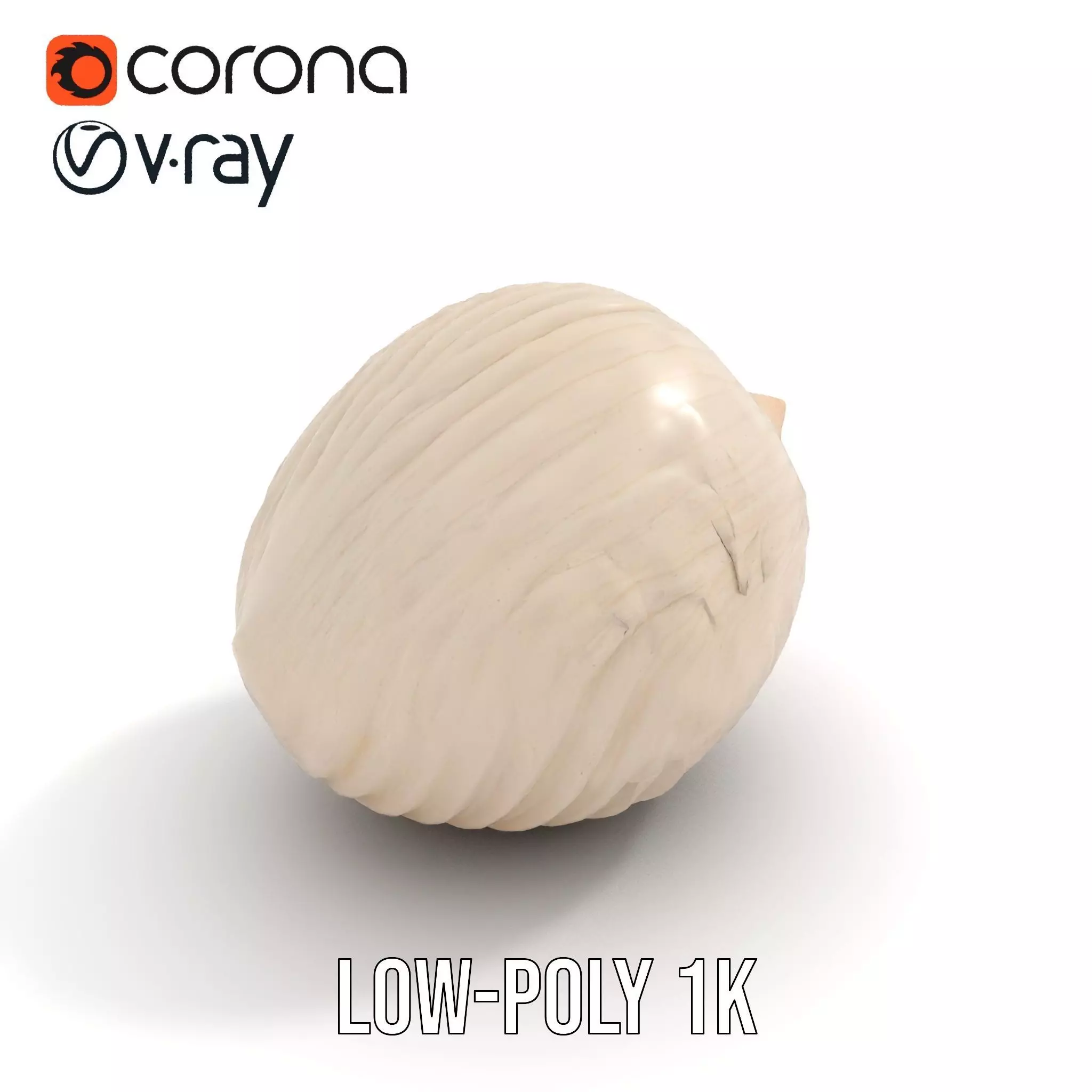 Elegant Sea Shell model pack Low-poly 3D model_6