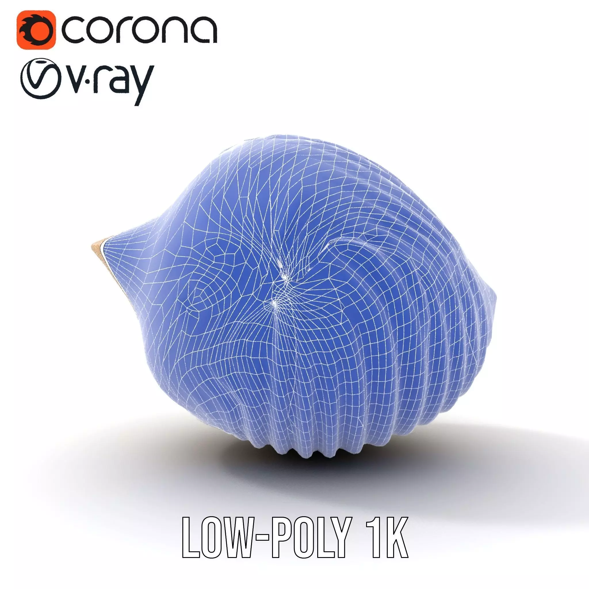 Elegant Sea Shell model pack Low-poly 3D model_24