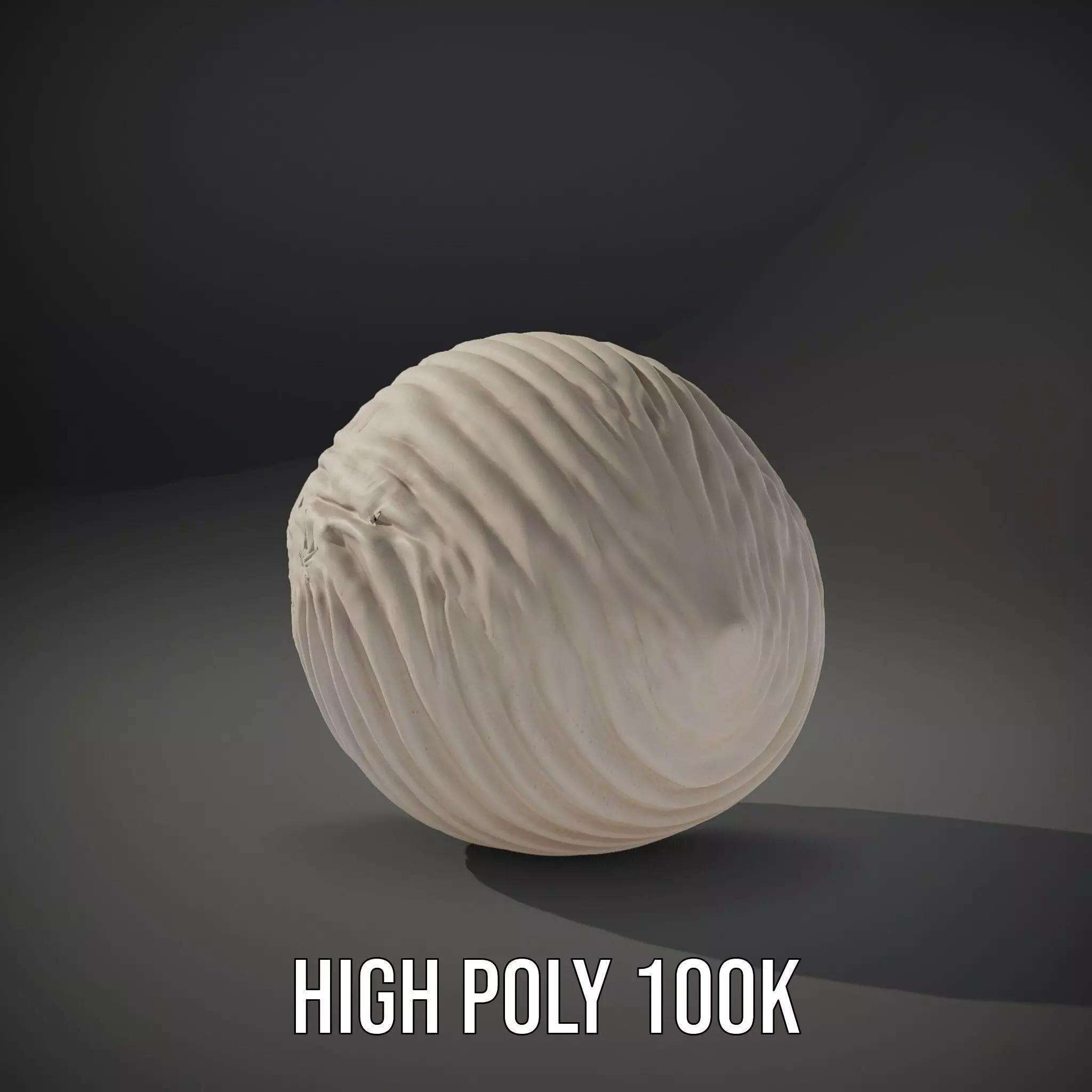 Elegant Sea Shell model pack Low-poly 3D model_8