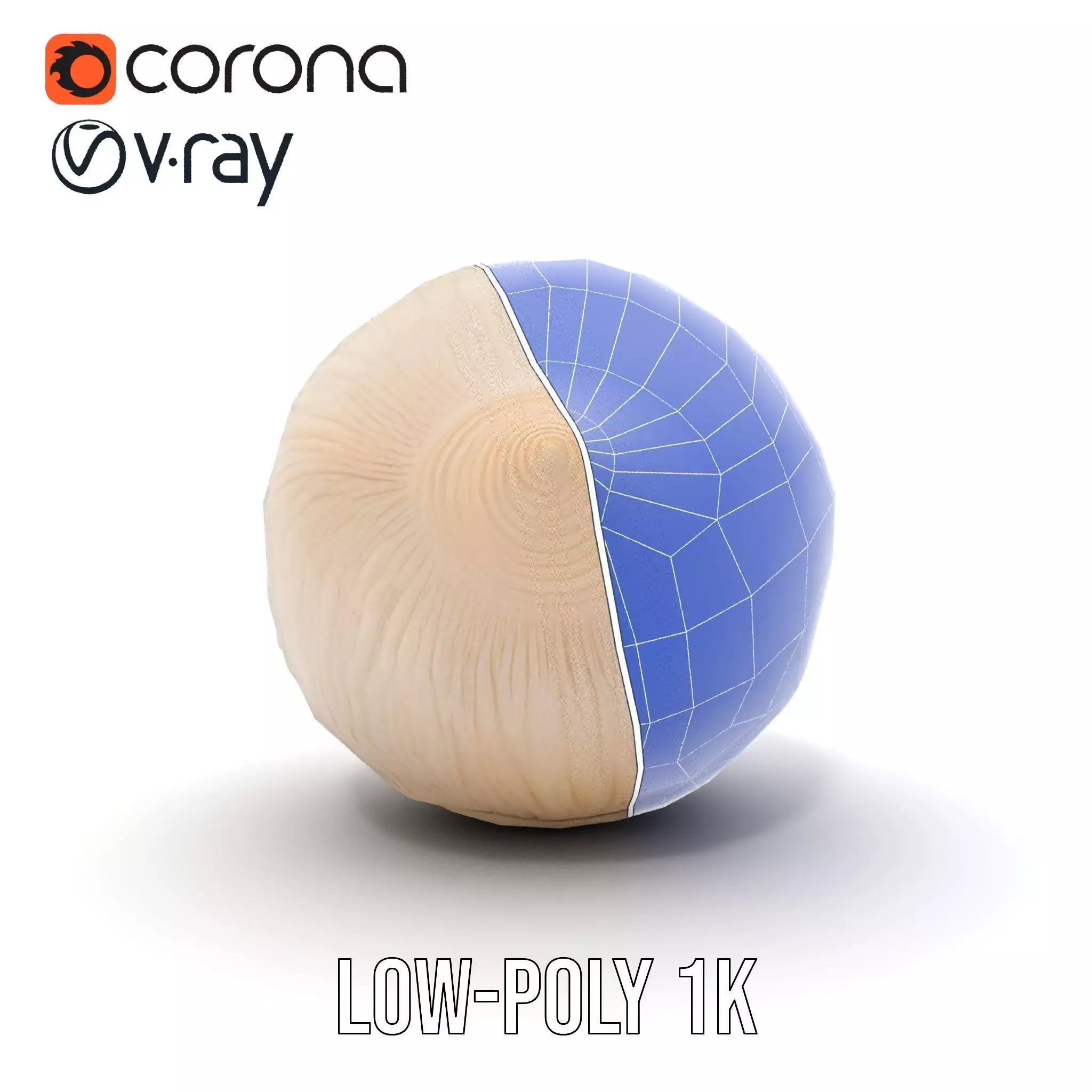 Elegant Sea Shell model pack Low-poly 3D model_28