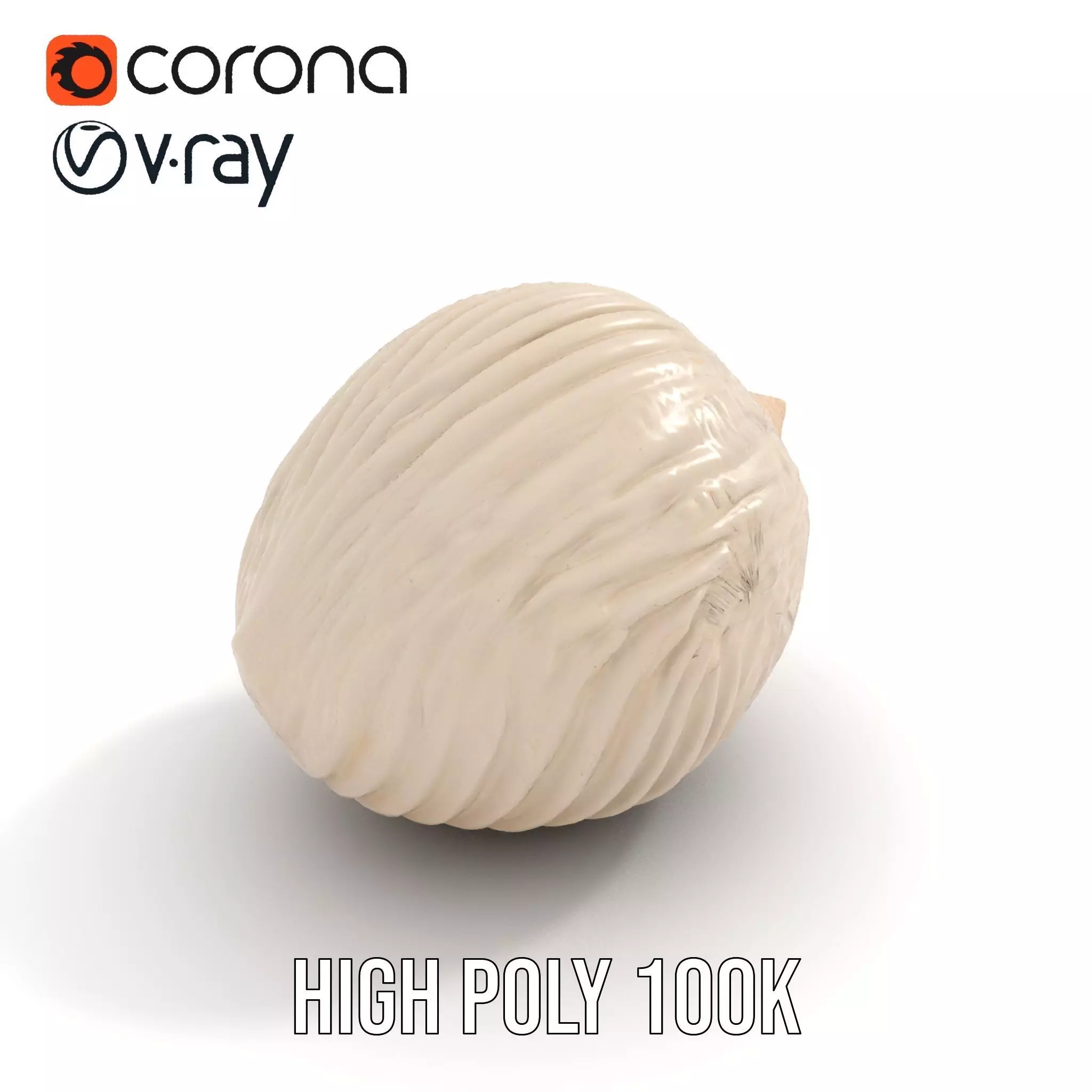 Elegant Sea Shell model pack Low-poly 3D model_21