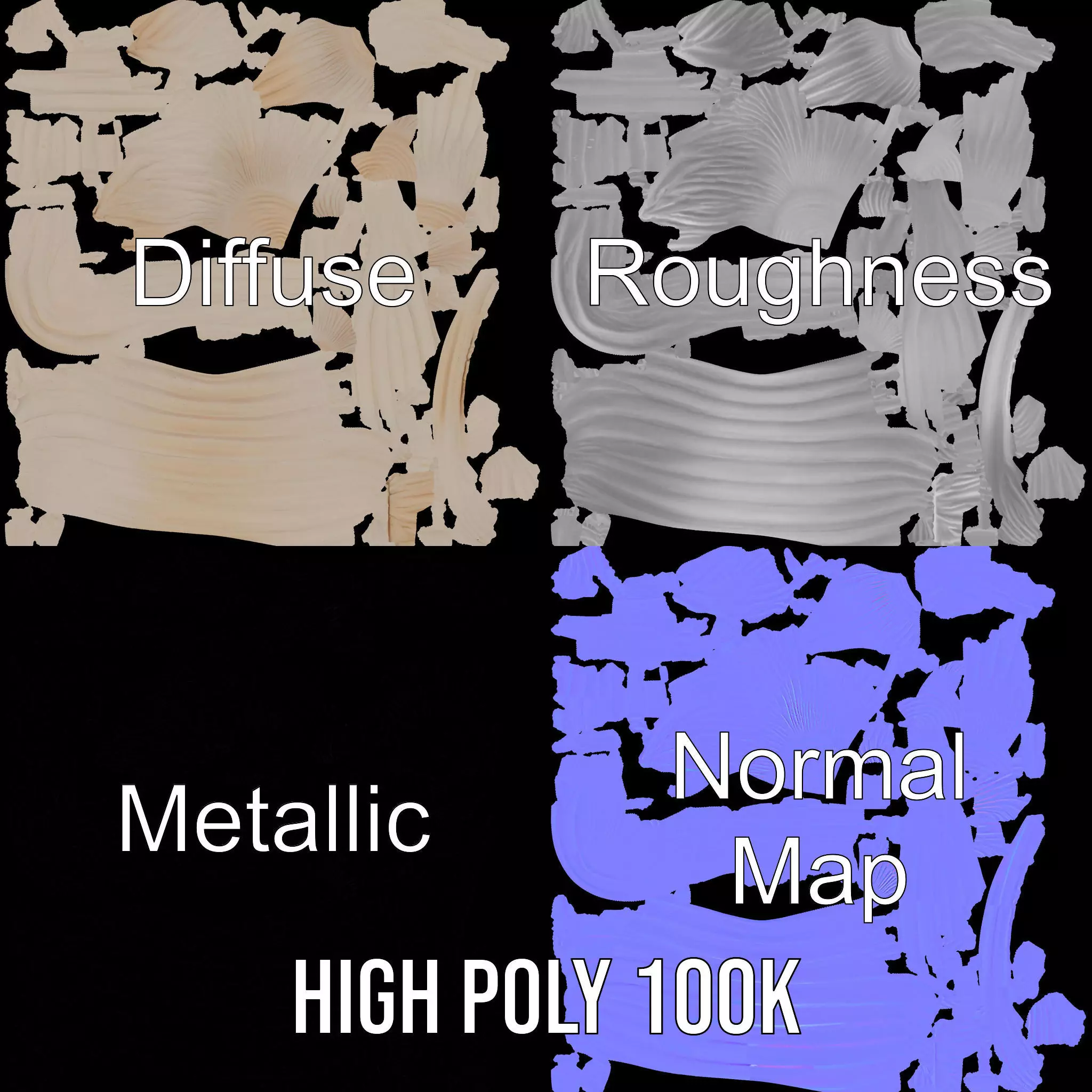 Elegant Sea Shell model pack Low-poly 3D model_3